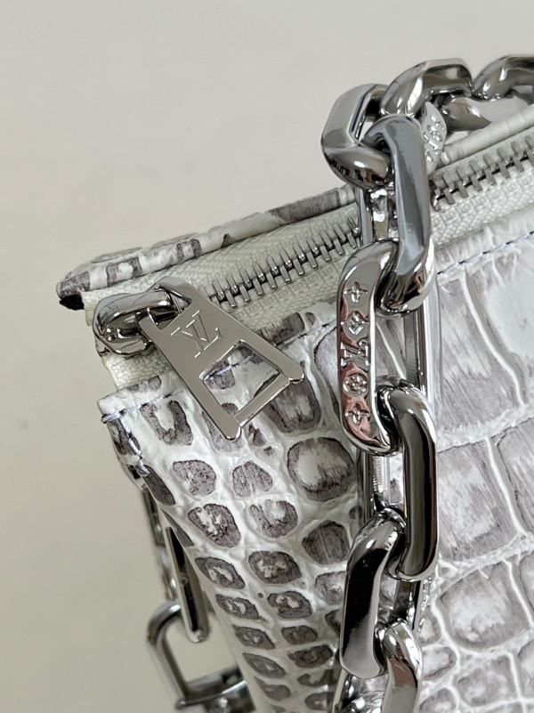 l0*is V*t0n coussin pm