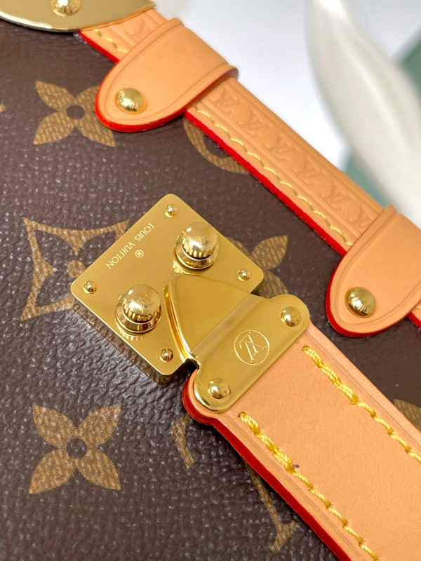 l0*is V*t0n side trunk pm